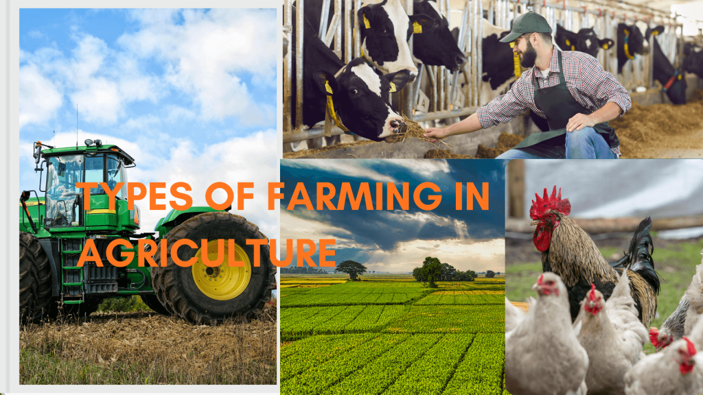 different types of farming, all the different types of farming, types of farming in agriculture, types of farming equipment, types of farming agriculture,how many types of farming? what type of farming makes the most money? can you name such type of farming? which type of farming is more profitable? Which farming is the best for the future?