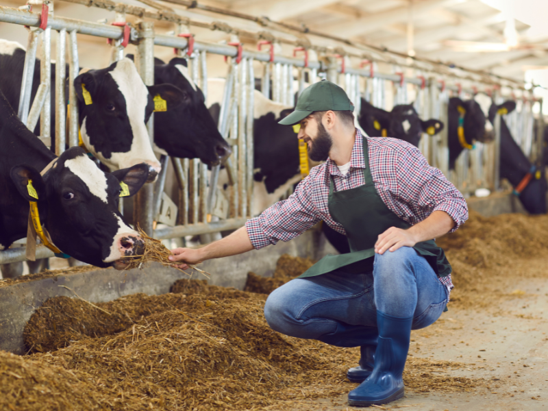 Types of Farming in Agriculture Types of Farming in Agriculture-Milk production farm